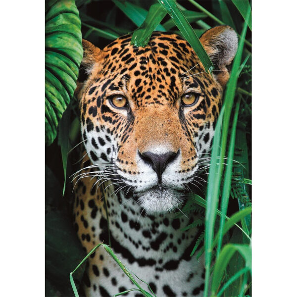 Állatos Jaguar 500 db-os puzzle Clementoni - Image 2