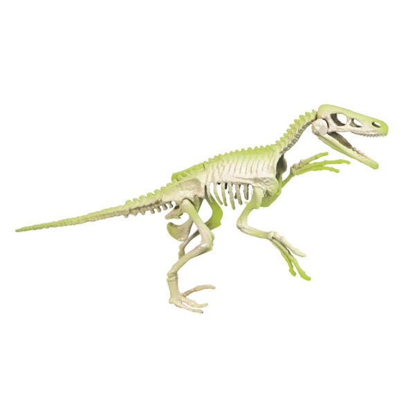 Világító velociraptor Archeo Fun régészeti készlet Clementoni - Image 2