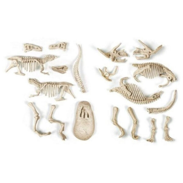 Világító dinoszaurusz Archeo Fun régészeti készlet Clementoni - Image 4