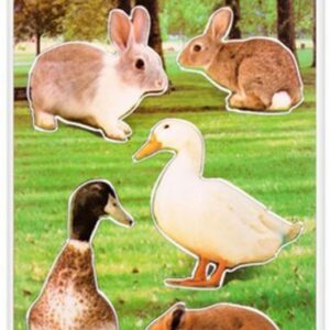 Állatos Farm matrica ezüst díszítéssel