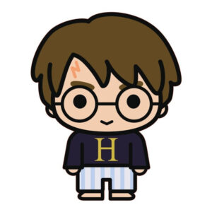 Harry Potter Night formapárna