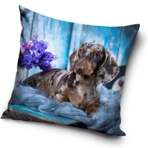 Kutyás Dachshund párnahuzat 40x40 cm – Játékmancs