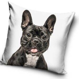 Kutyás Black Bulldog párnahuzat 40x40 cm – Játékmancs