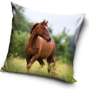 Lovas Freedom párnahuzat 40x40 cm Velúr – Játékmancs