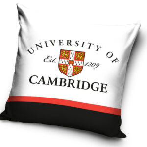 Cambridge University párnahuzat 40x40 cm – Játékmancs
