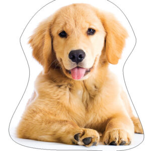 Kutyás Golden Retriver formapárna