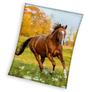 Lovas Gallop coral fleece polár takaró 150x200cm – Játékmancs