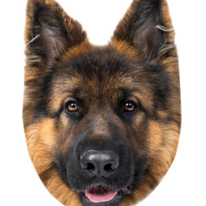 Kutyás German Shepherd formapárna