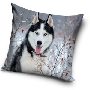 Kutyás Husky párna