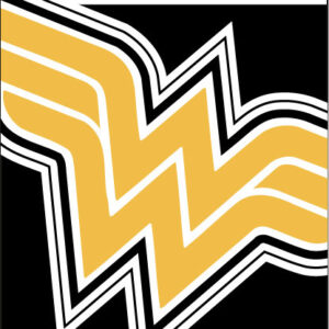 Wonder Woman Black fürdőlepedő