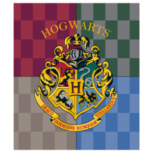 Harry Potter Hogwarts coral fleece polár takaró 120x150cm – Játékmancs