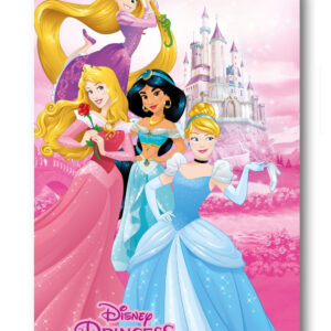 Disney Hercegnők Castle polár takaró 100x140cm – Játékmancs