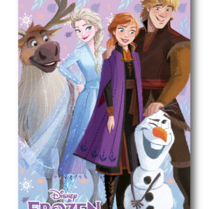 Disney Jégvarázs Winter Friends polár takaró 100x140cm – Játékmancs
