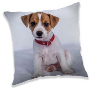 Kutyás Jack Russell párna