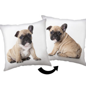 Kutyás Bulldog párna