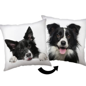 Kutyás Border Collie párna