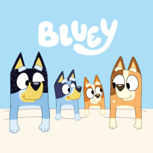 Bluey Cozy kéztörlő