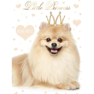 Kutyás Little Princess A/4 gumis mappa