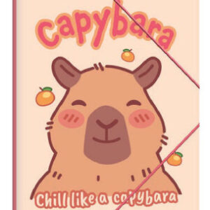 Kapibara Happy Life A/4 gumis mappa